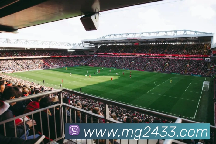 MG娱乐平台官网品牌故事