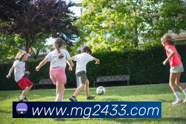 MG娱乐平台官网服务体系